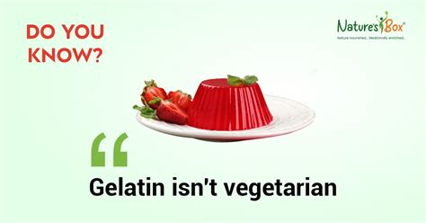 gelatinous pronunciation|does gelatin contain protein.